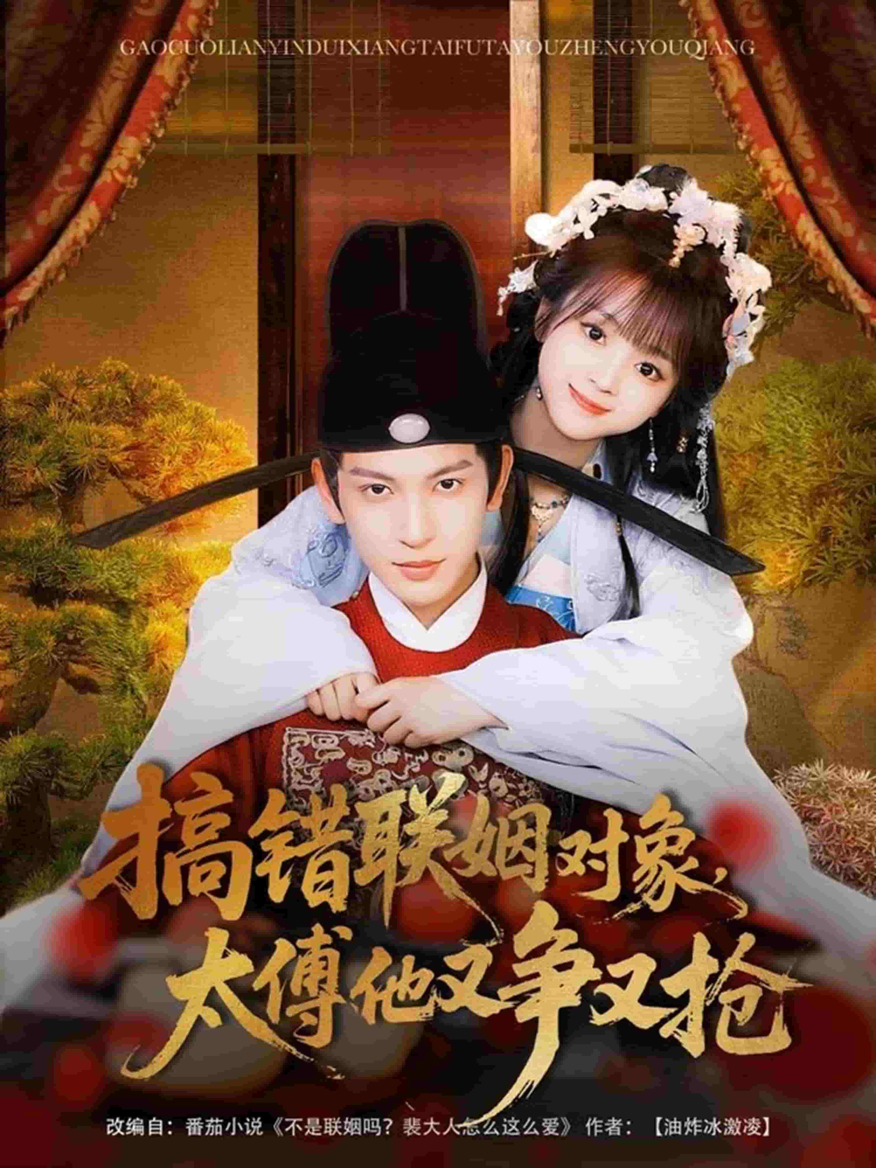 搞错联姻对象，太傅他又争又抢海报