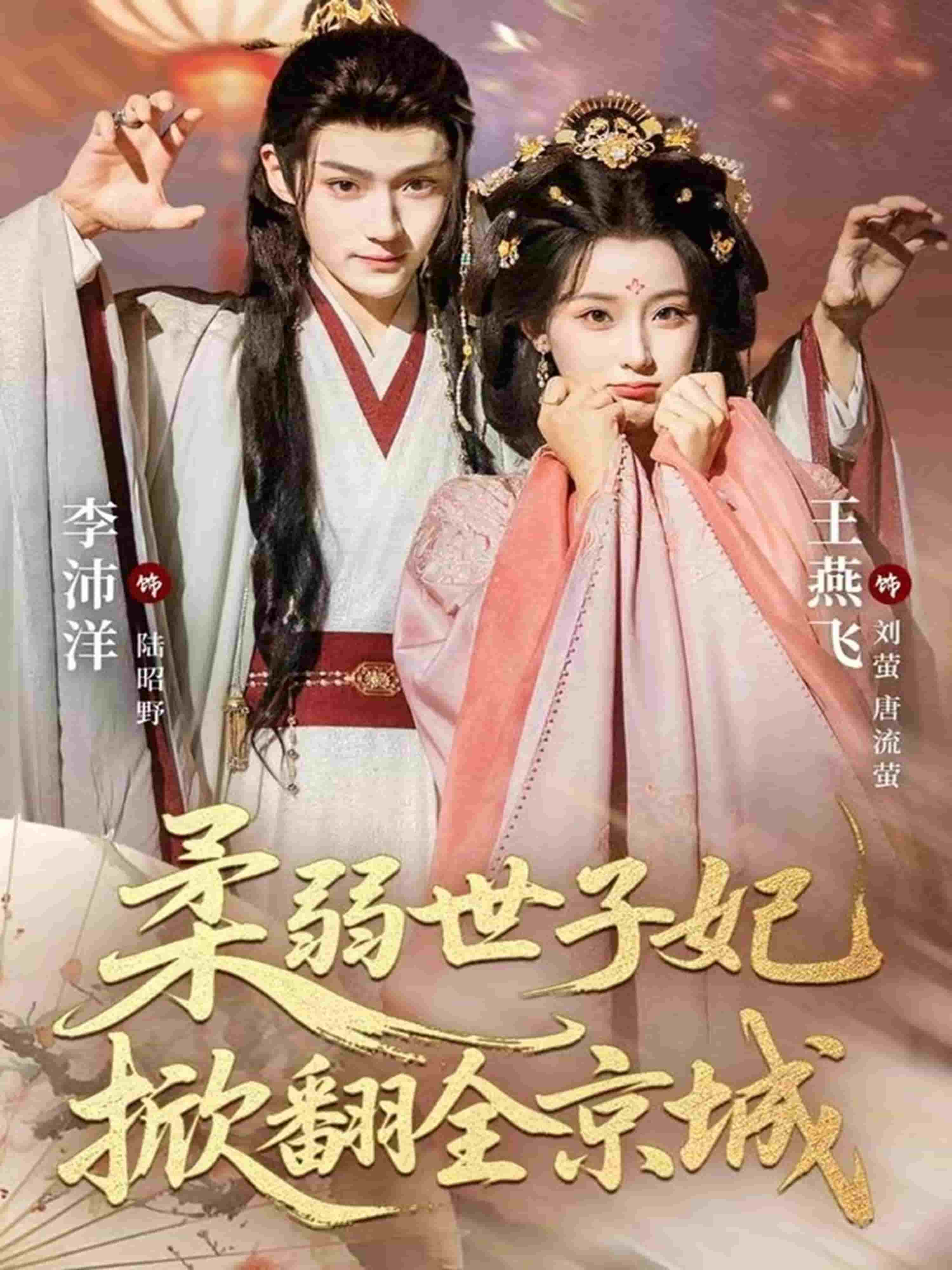 柔弱世子妃掀翻全京城海报
