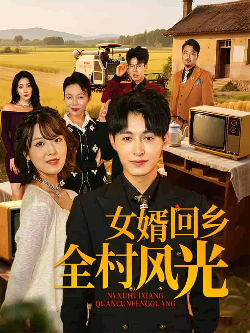 女婿回乡全村风光海报