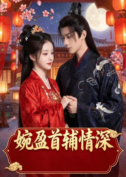 婉盈首辅情深海报