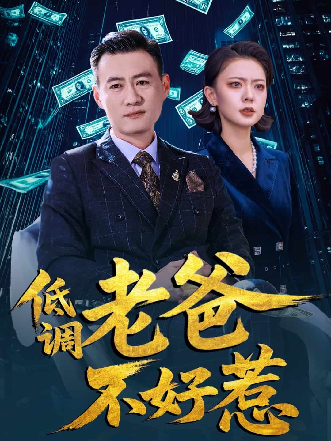 低调老爸不好惹海报