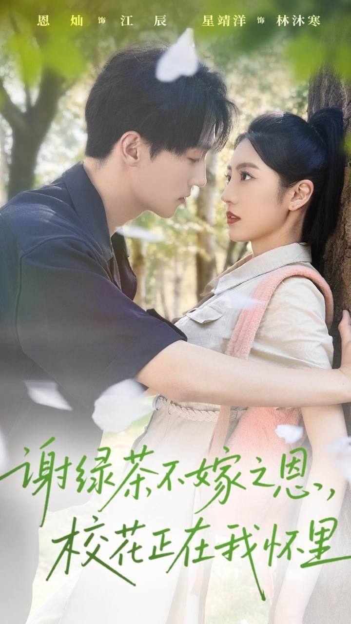 谢绿茶不嫁之恩校花正在我怀里海报
