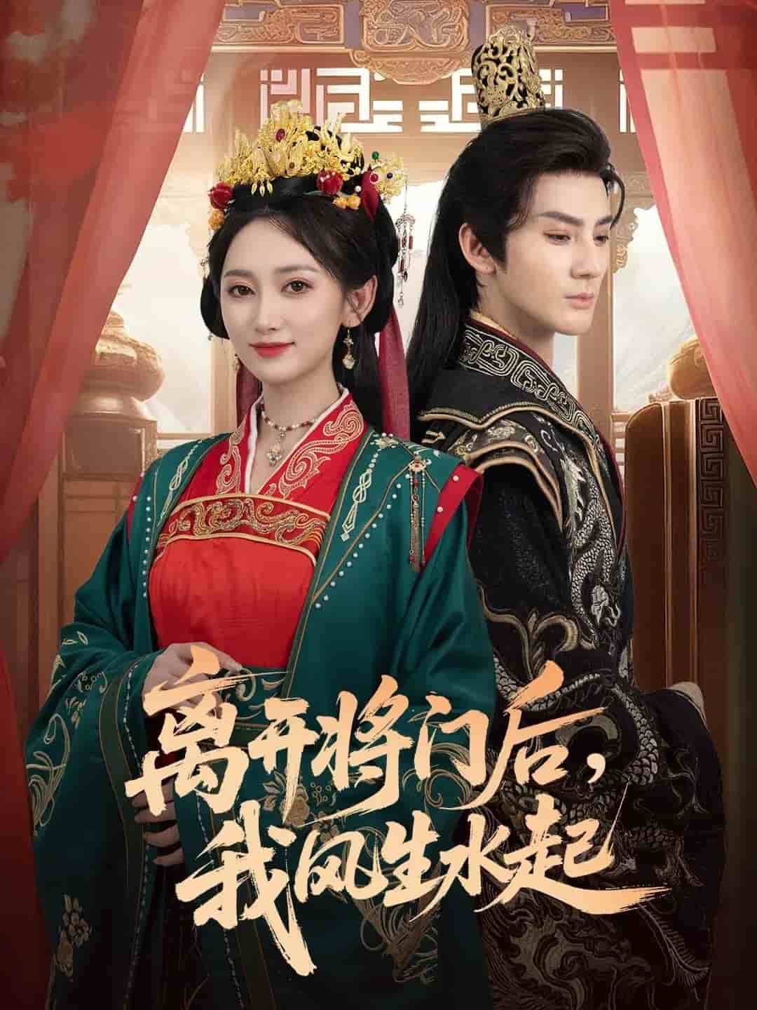 离开将门后，我风生水起海报