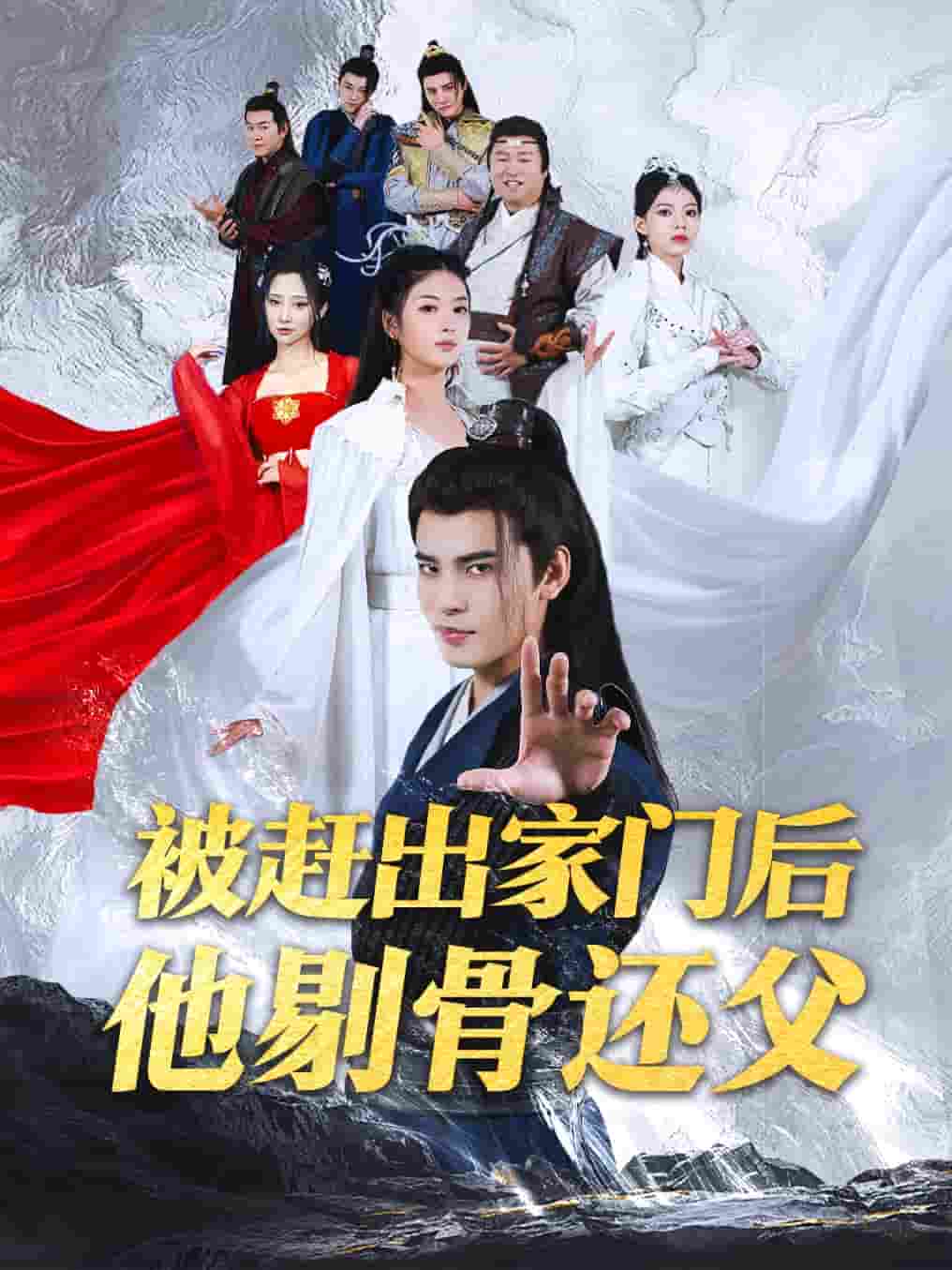 被赶出家门后他剔骨还父海报