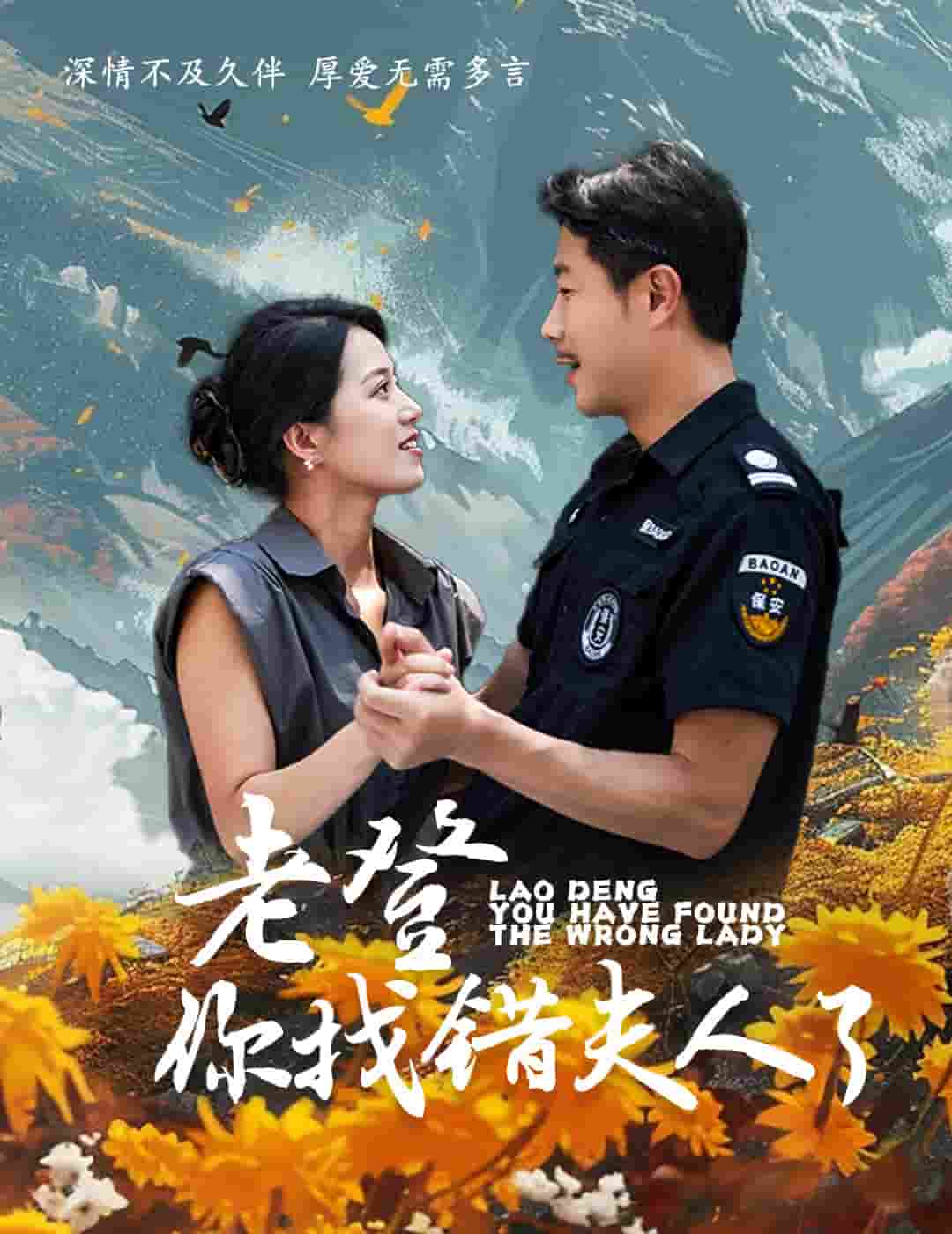 老登你找错夫人了海报