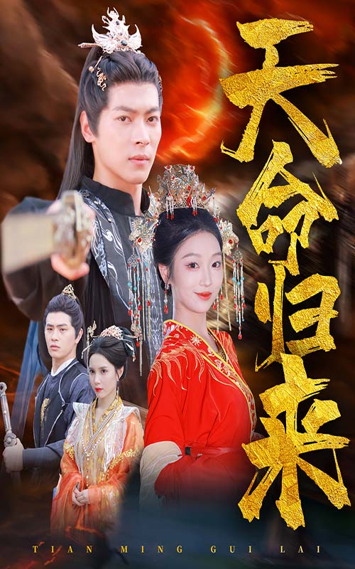 天命归来海报