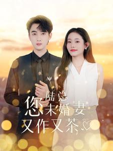 陆总您未婚妻又作又茶海报