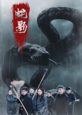 蛇影海报