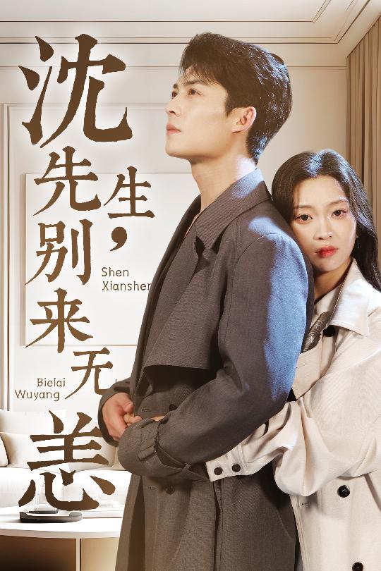 沈先生，别来无恙海报