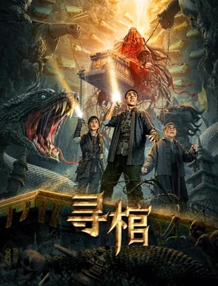 寻棺海报