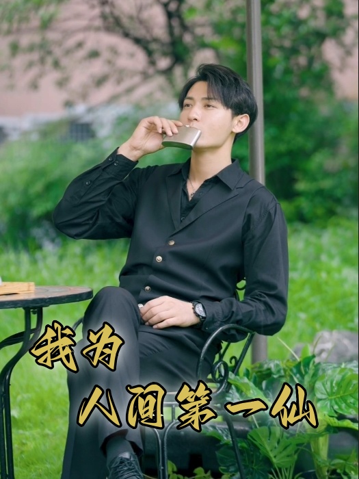 我为人间一仙海报