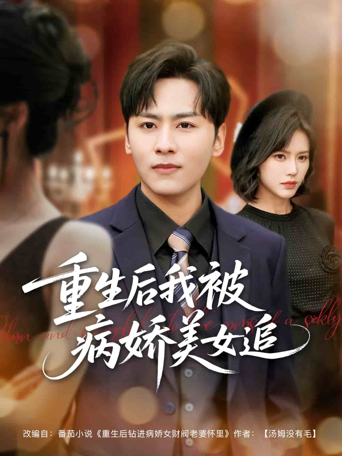 重生六零：老太太的崛起海报