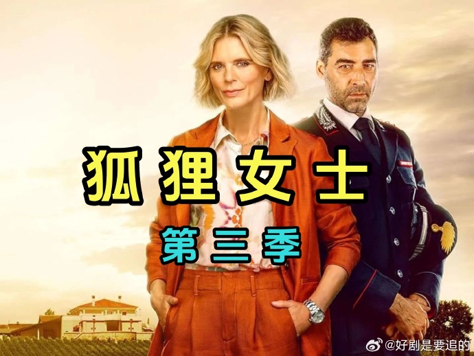 狐狸女士第三季海报