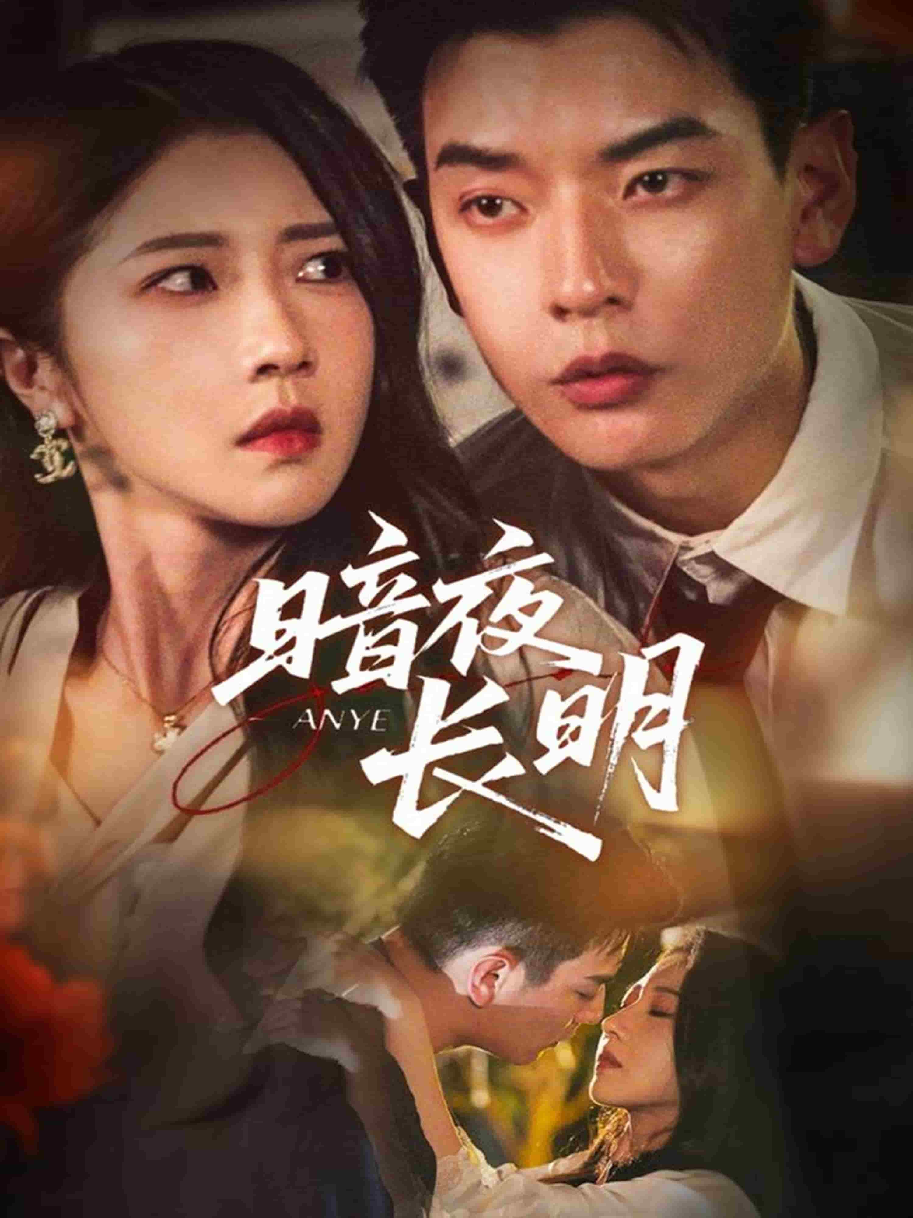 暗夜长明海报