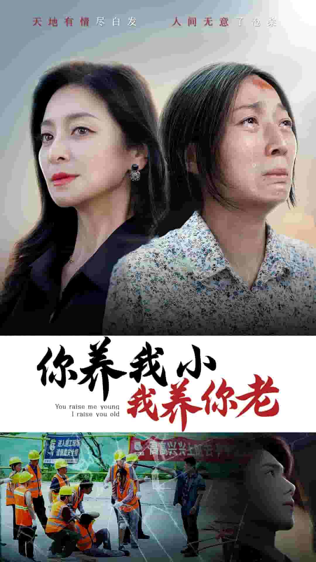 你养我小我养你老海报