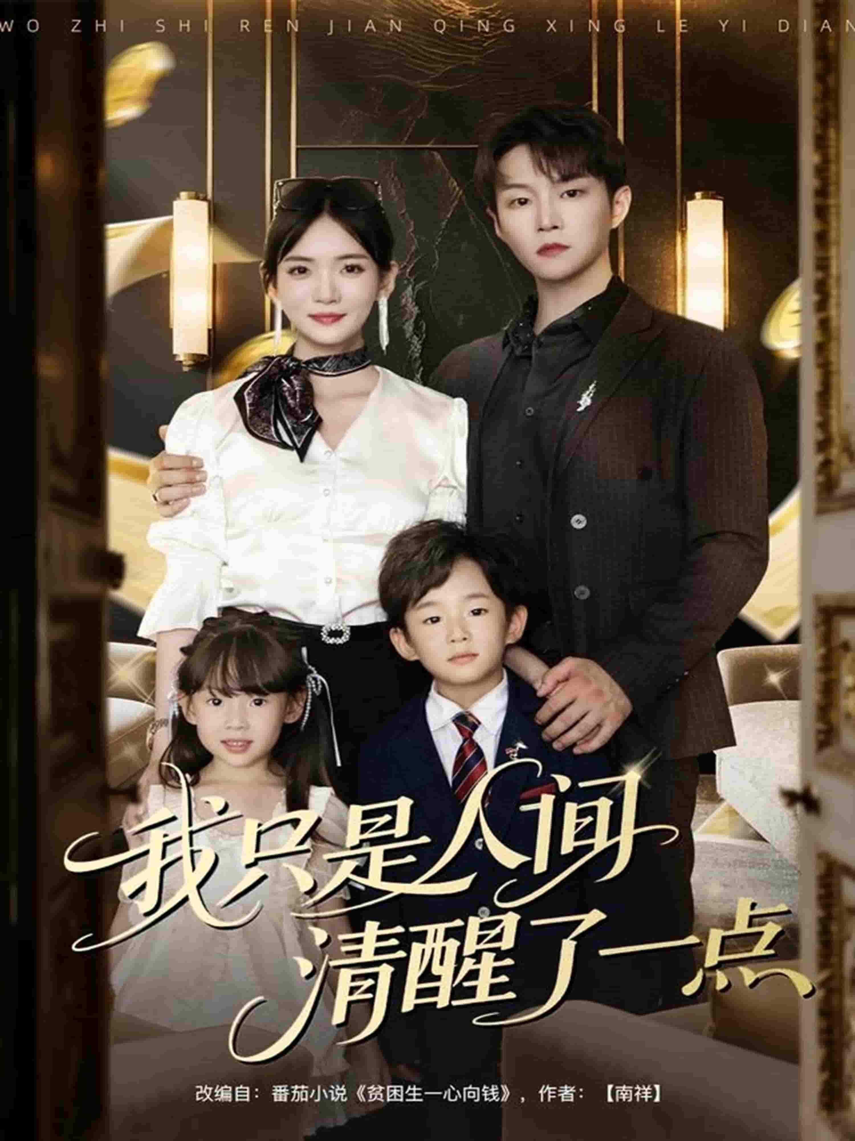 我只是人间清醒了一点海报