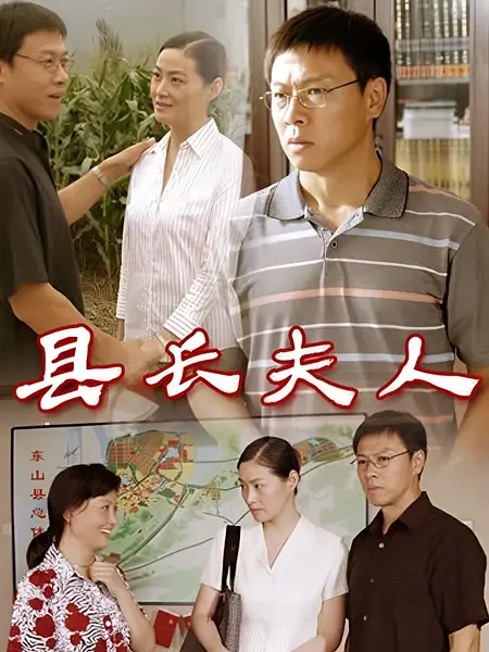 县长夫人海报