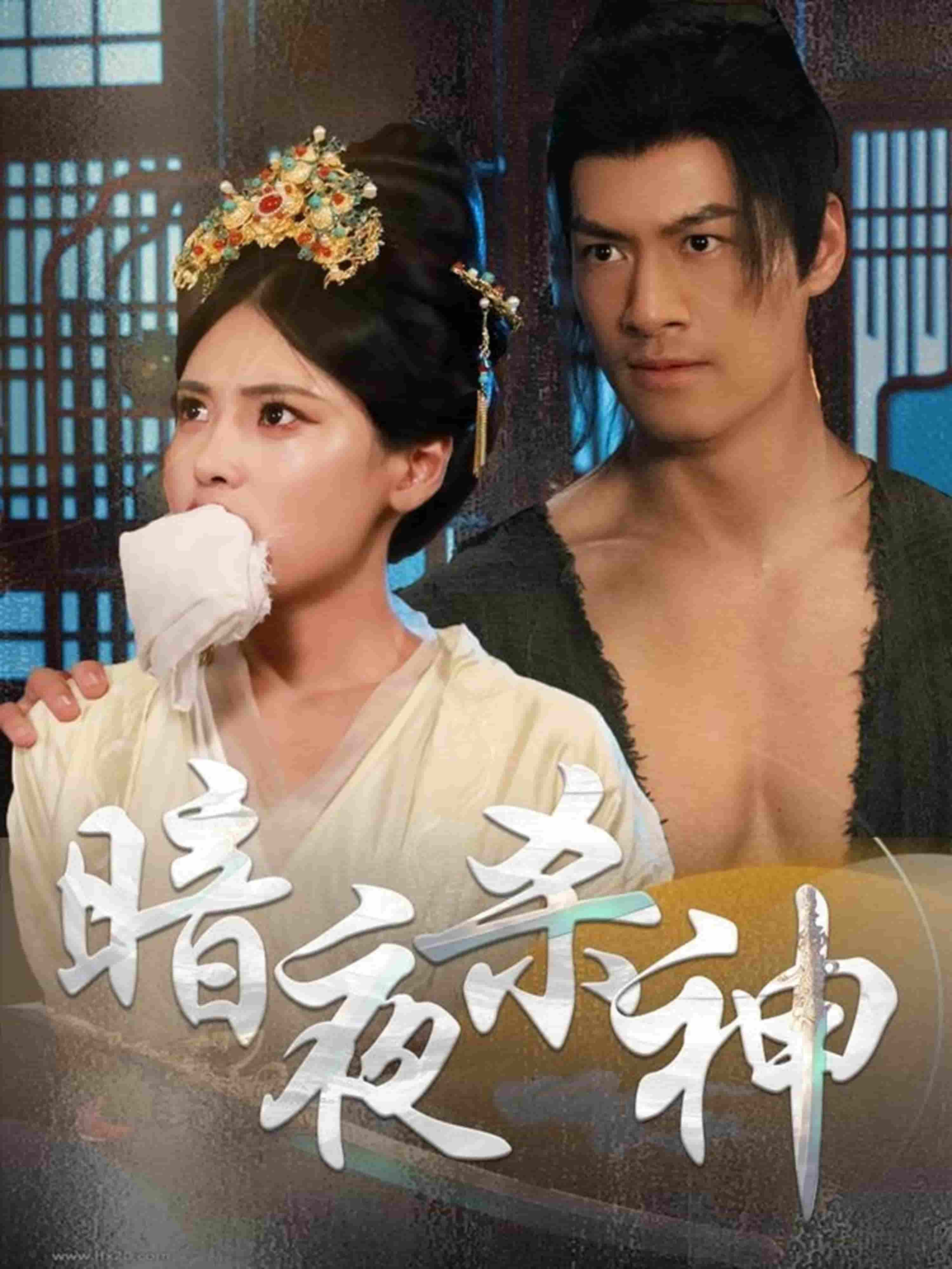 暗夜杀神海报