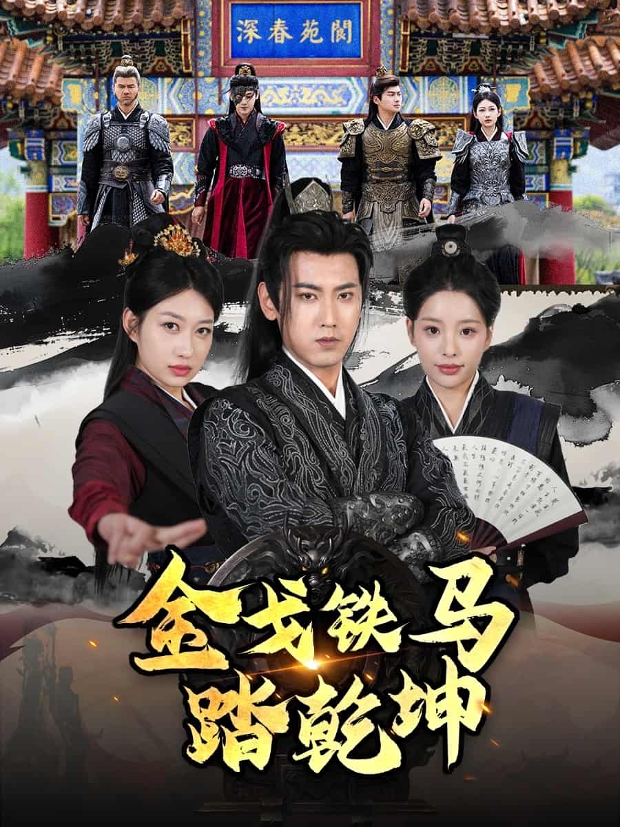 金戈铁马踏乾坤海报
