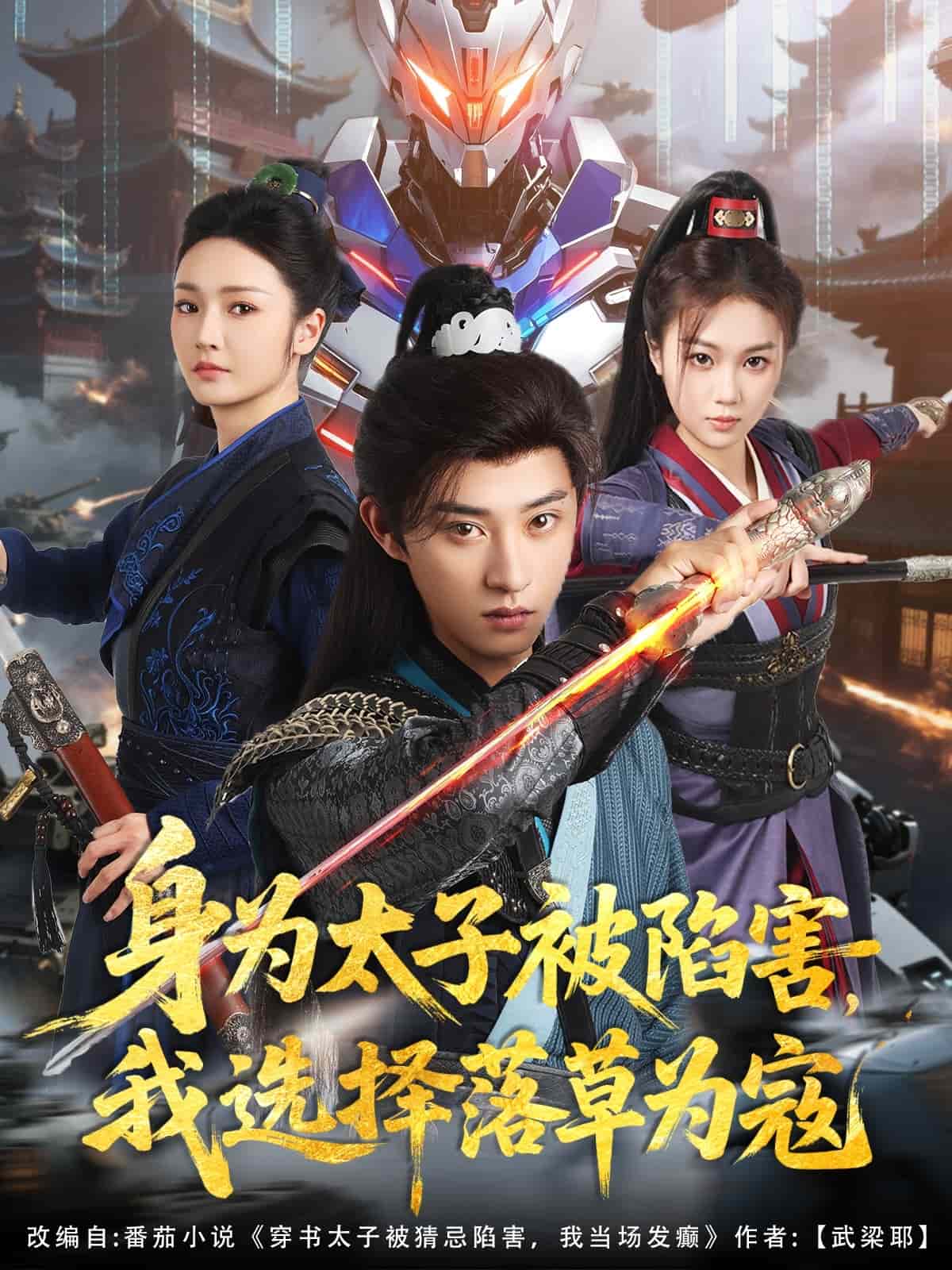 身为太子被陷害，我选择落草为寇海报