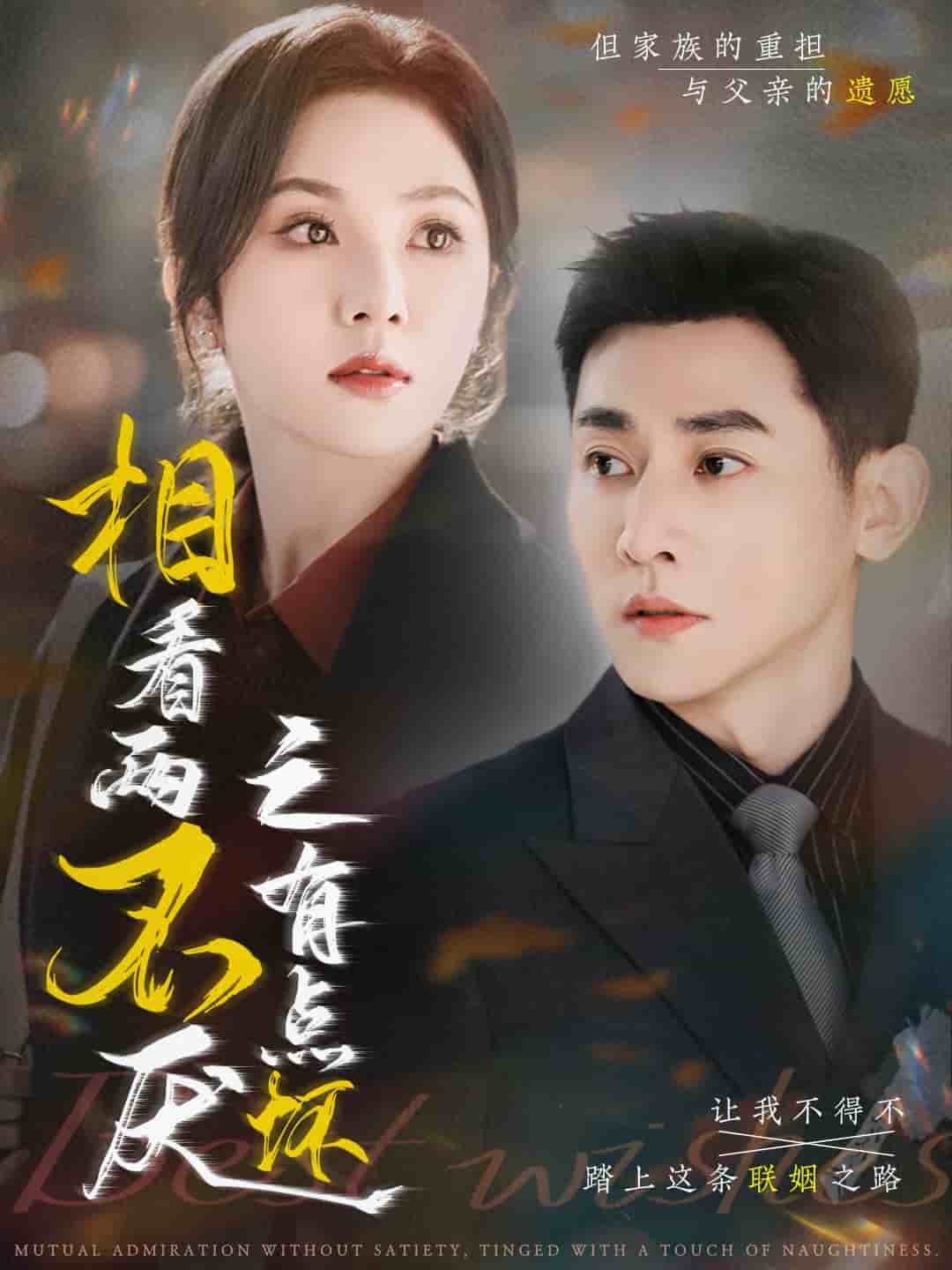 相看两不厌之有点坏海报