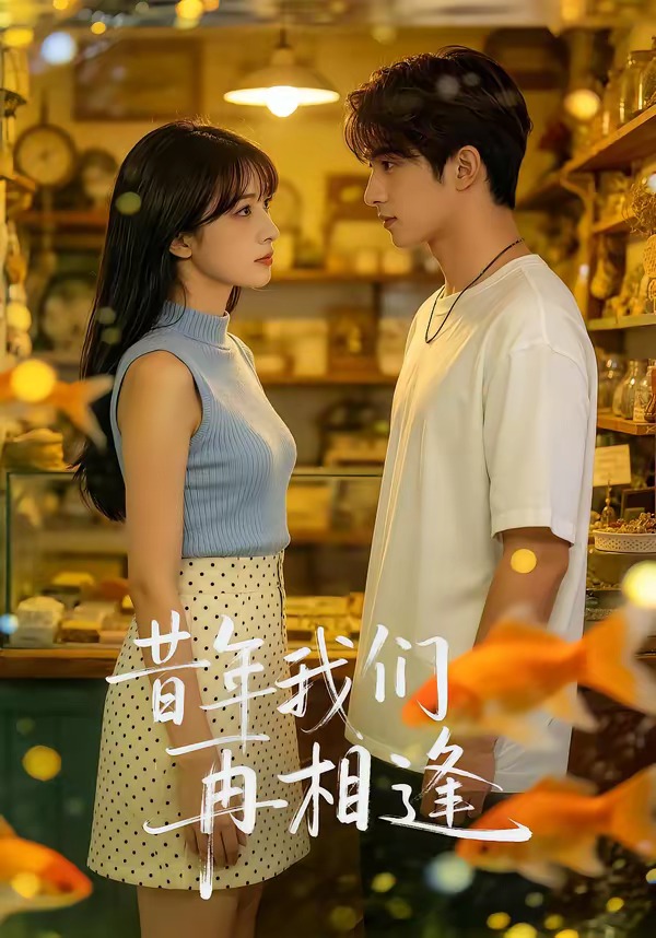 昔年我们再相逢海报