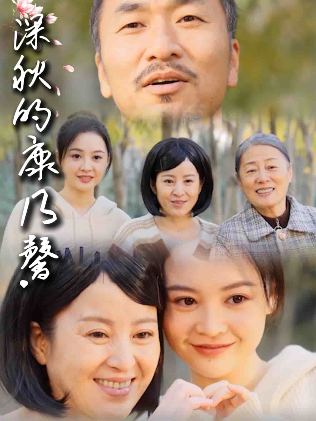 深秋的康乃馨海报