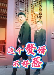 这个赘婿不好惹海报