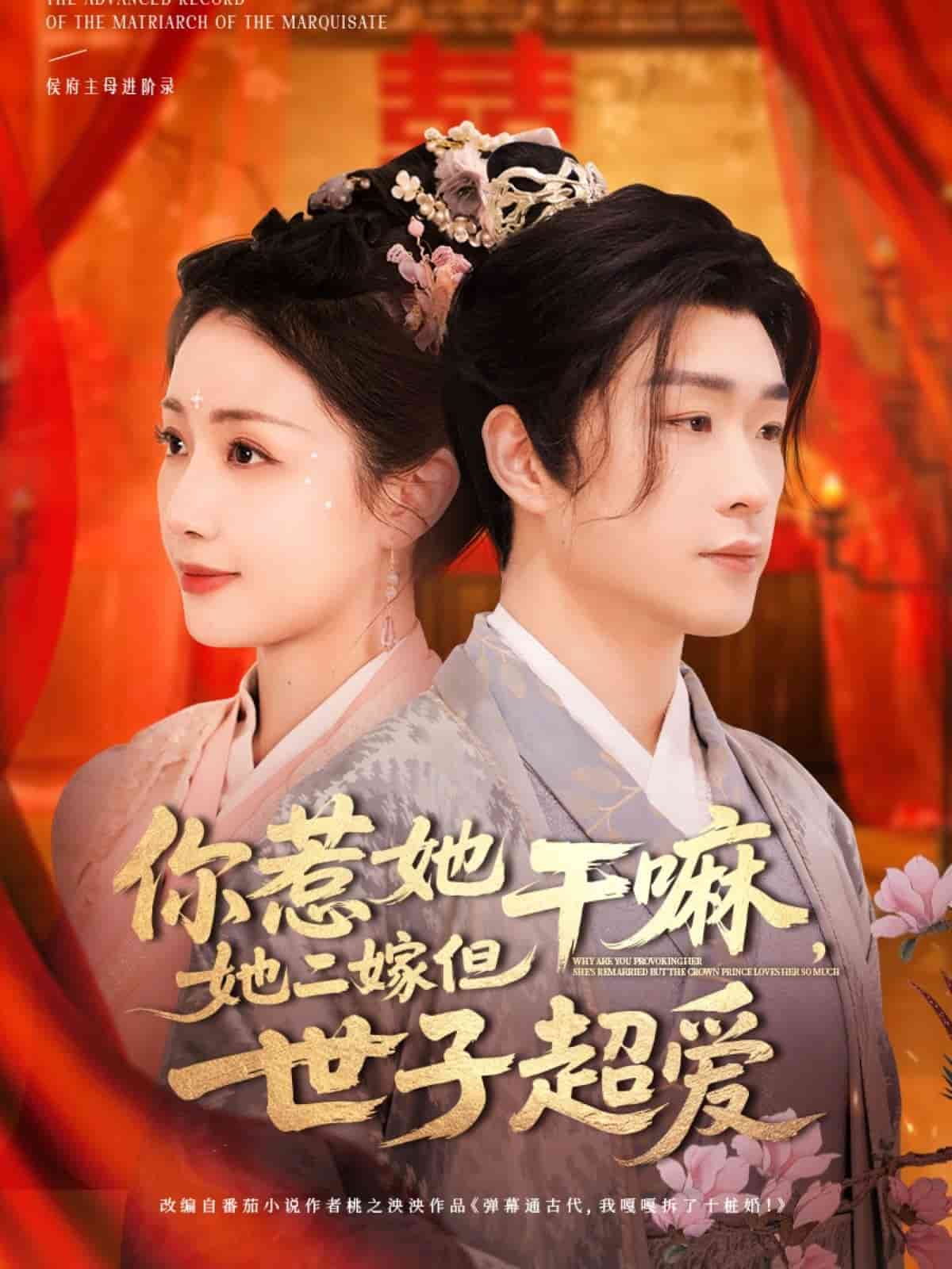 你惹她干嘛，她二嫁但世子超爱海报