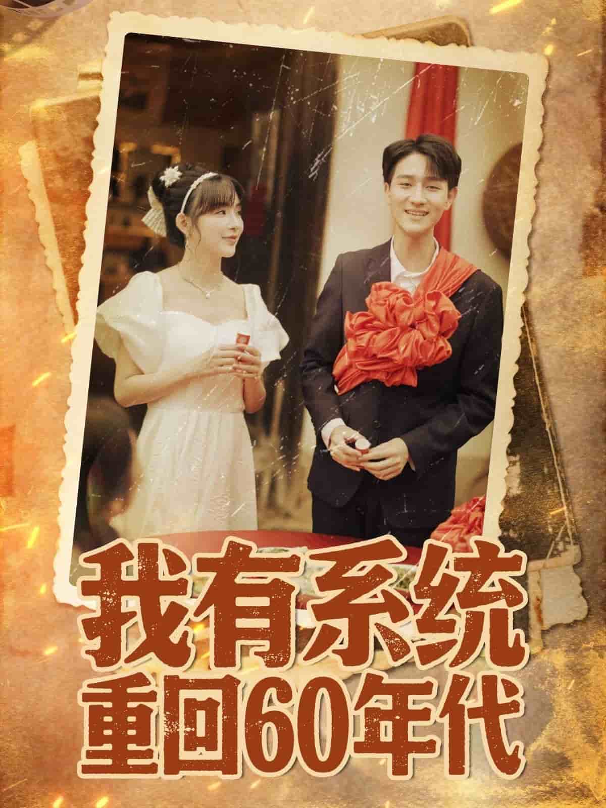 重回六零我靠系统娶媳妇海报