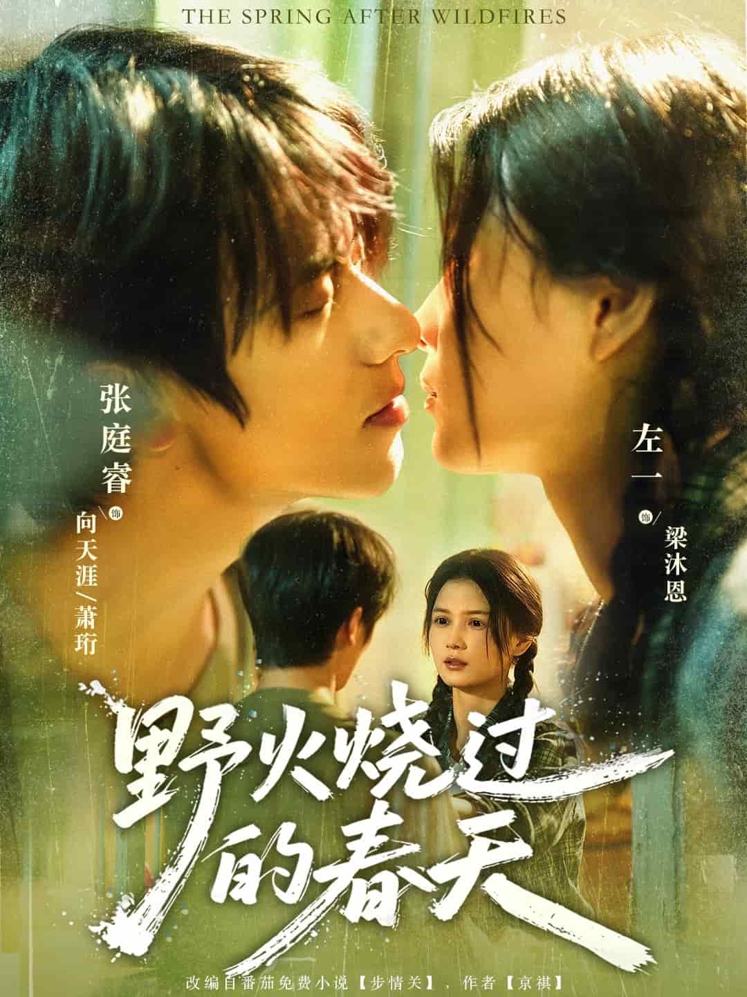 野火烧过的春天海报