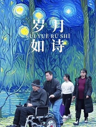 岁月如诗海报