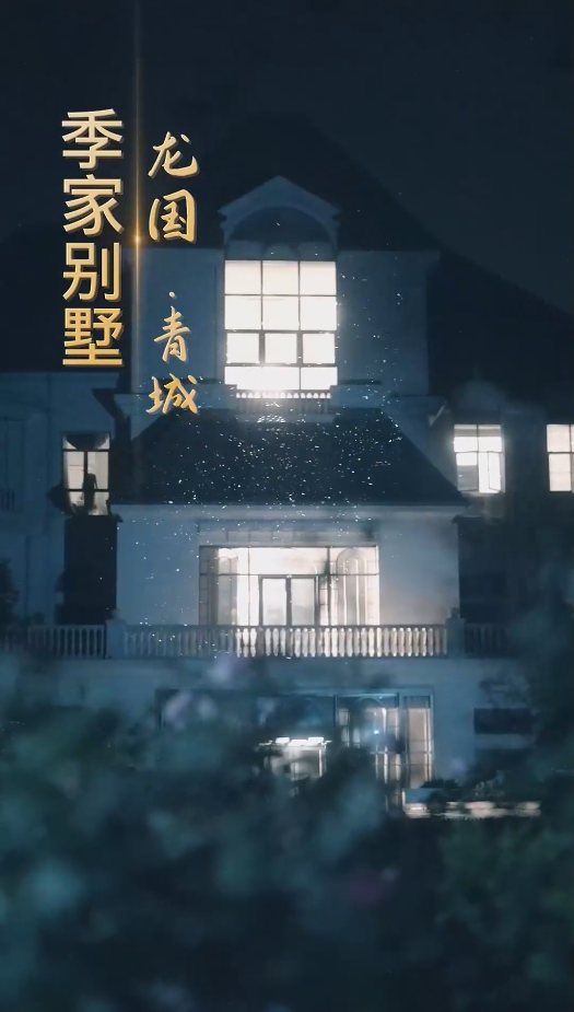 不好惹的女人海报