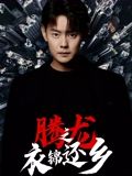 腾龙之衣锦还乡海报