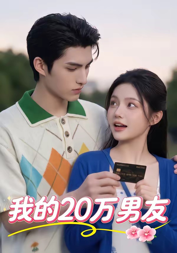 我的20万男友海报