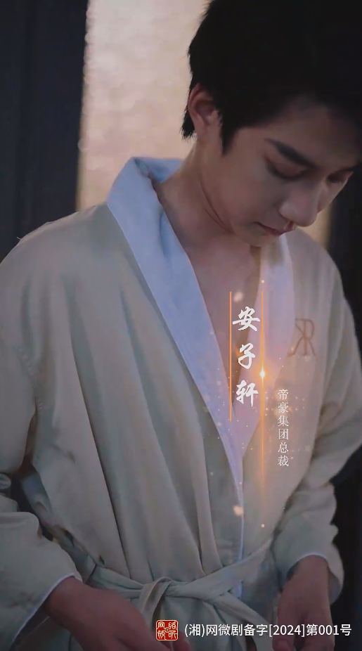 假意真情海报