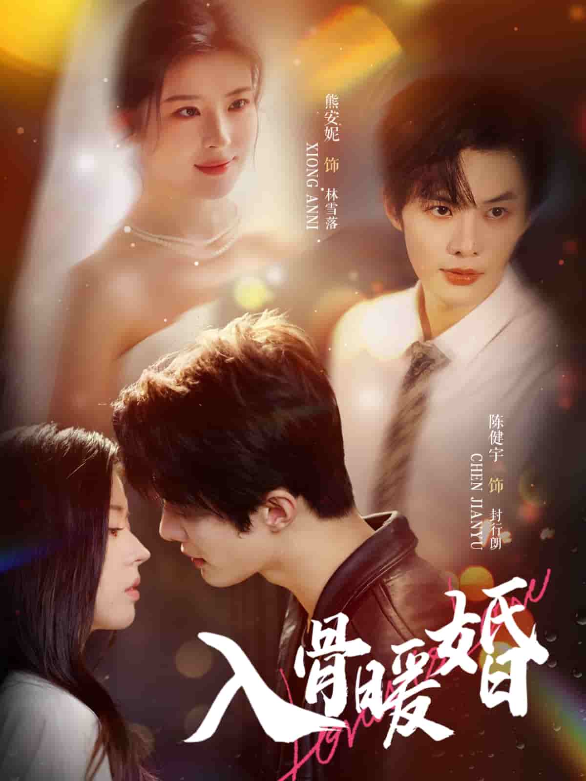 入骨暖婚海报