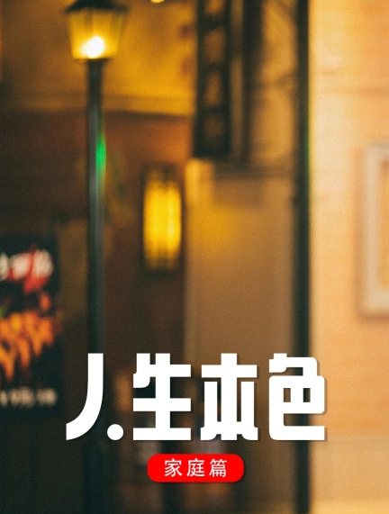 人生本色·家庭篇海报