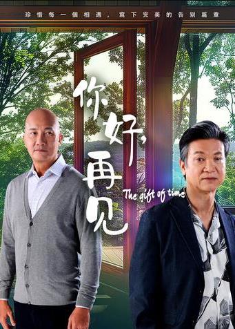 你好，再见2025海报