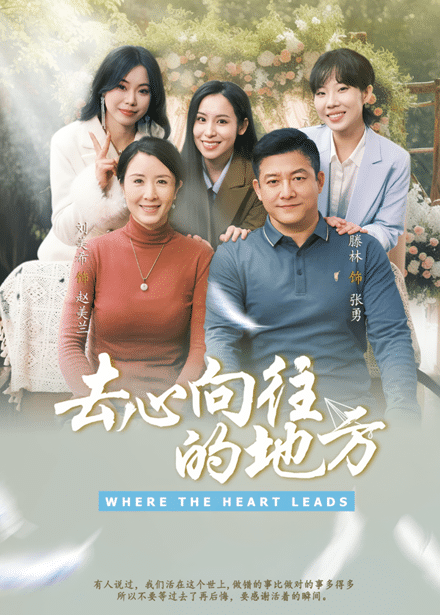 去心向往的地方海报