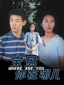 宝贝你在哪儿海报