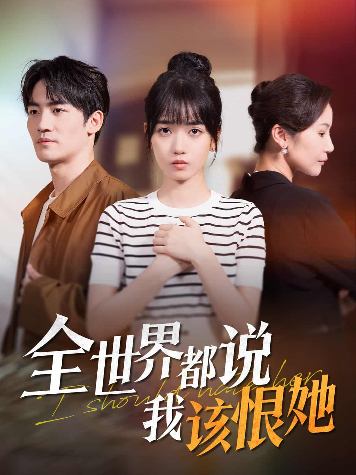 全世界都说我该恨她海报