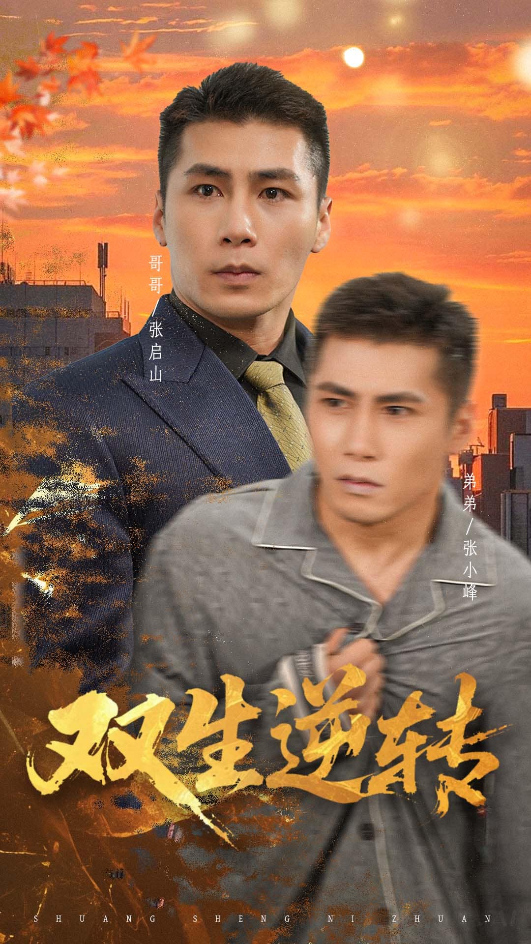 双生逆转海报