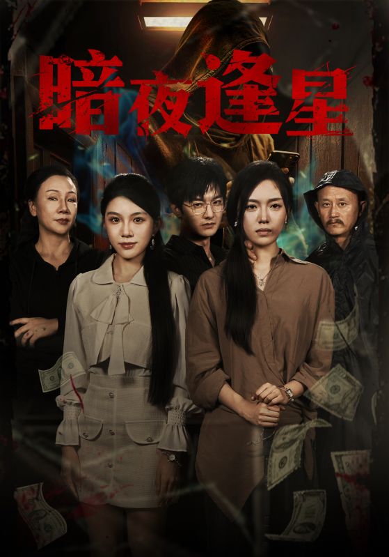 暗夜逢星海报