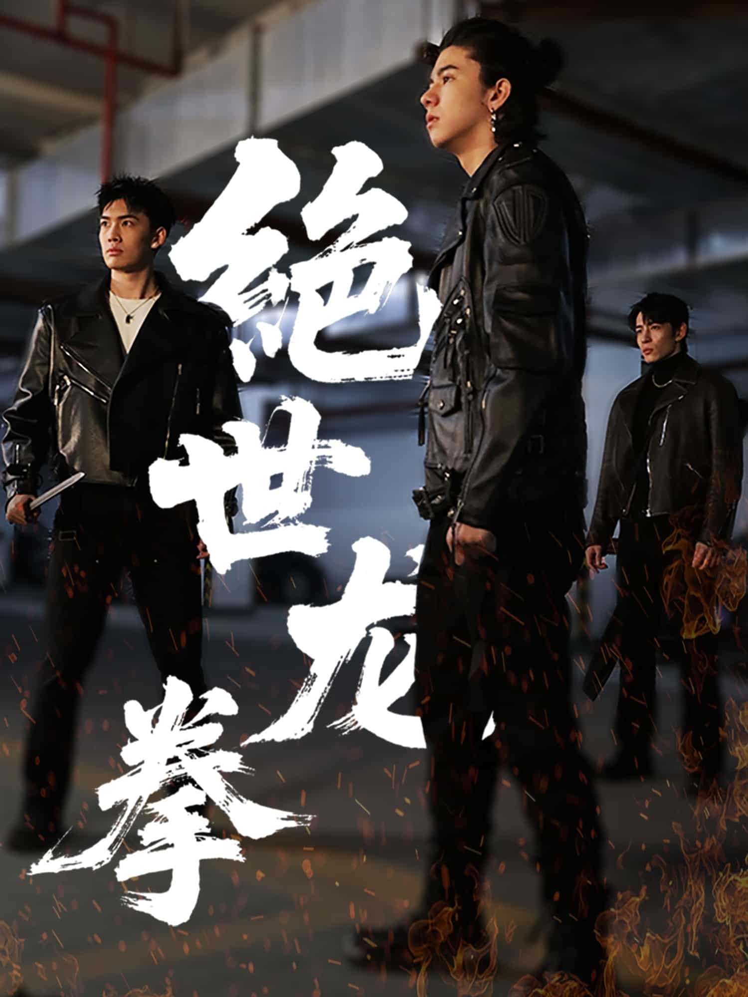 绝世龙拳海报