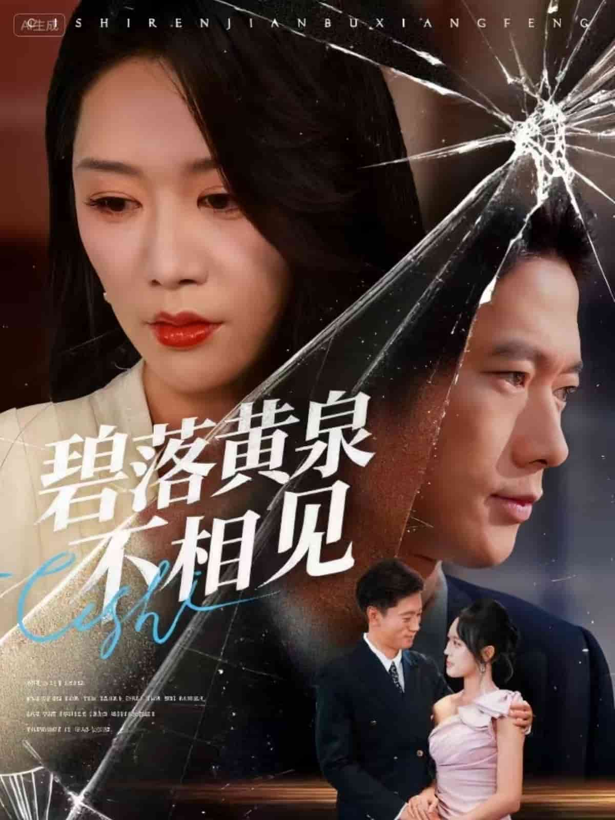 碧落黄泉不相见海报