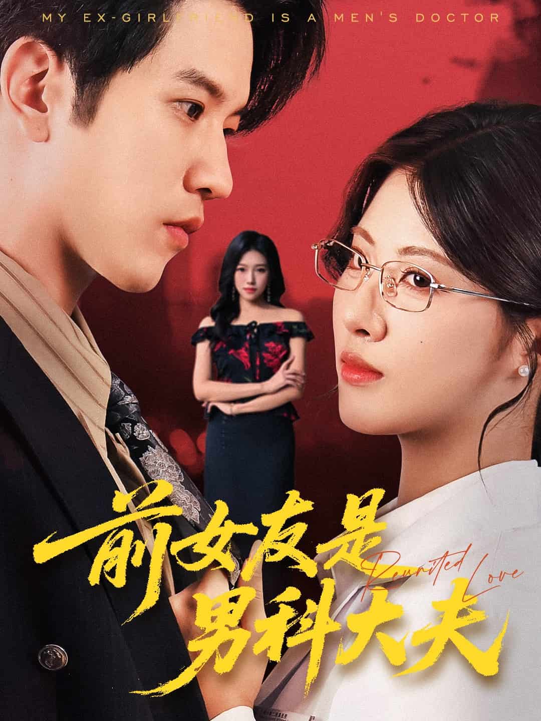 前女友是男科大夫海报
