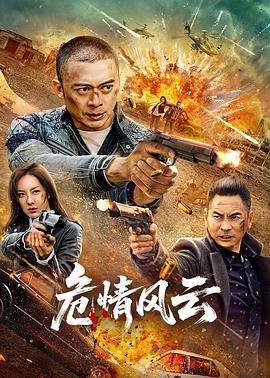 危情风云海报