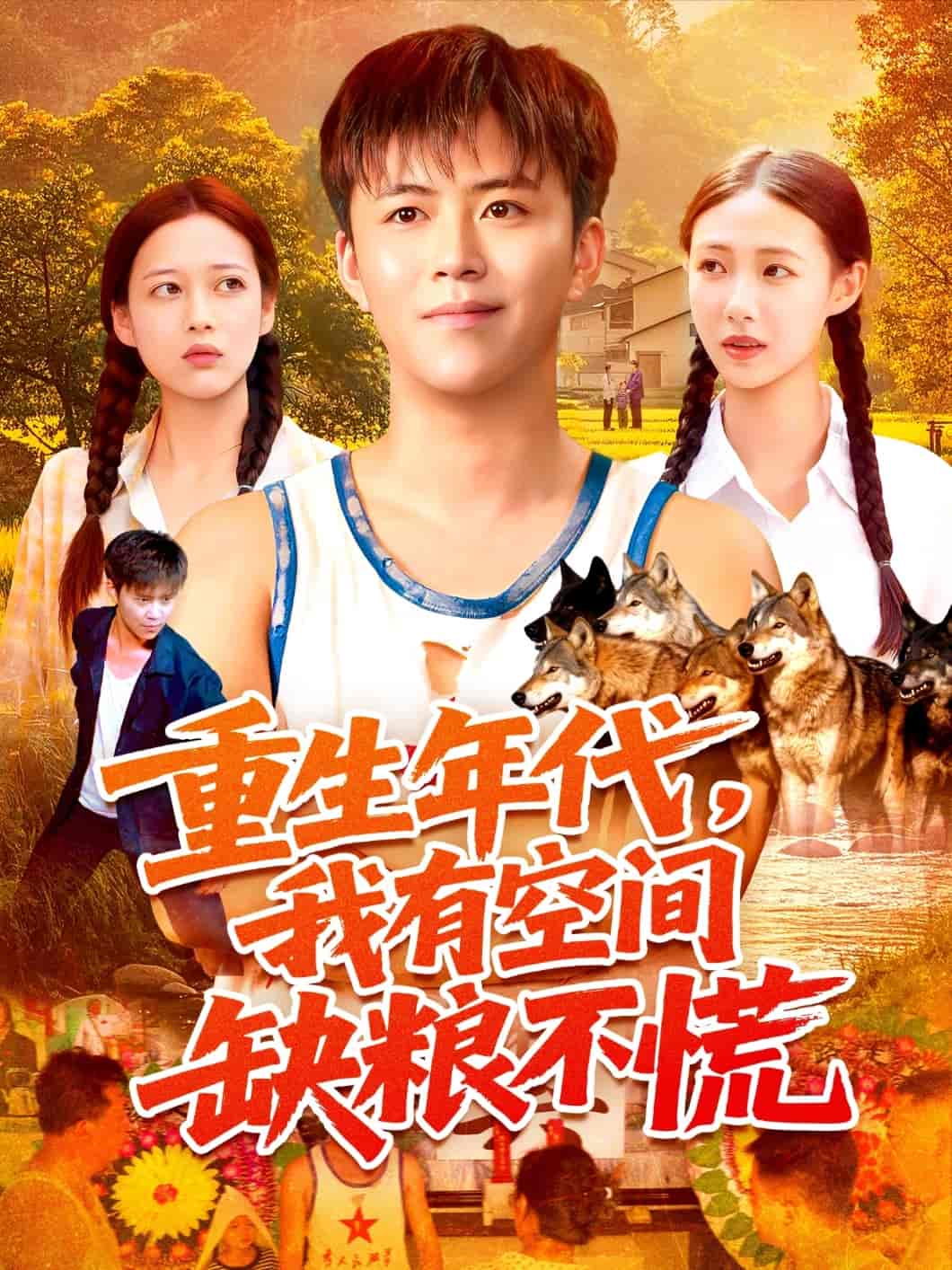 重生年代我有空间缺粮不慌海报