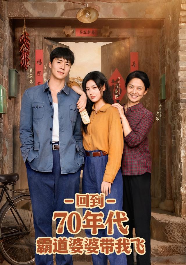 回到70年代霸道婆婆带我飞海报